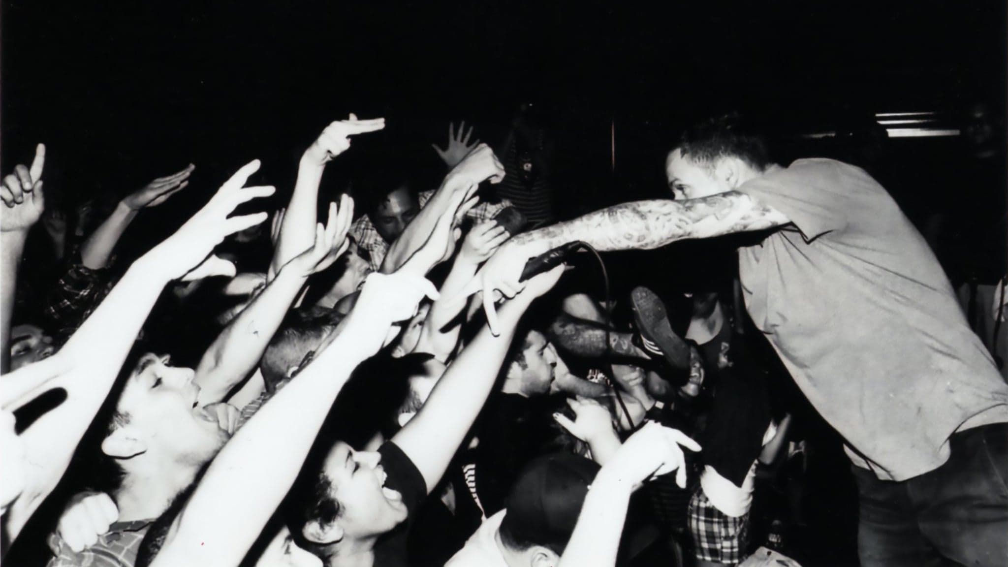 I Am the Avalanche concert